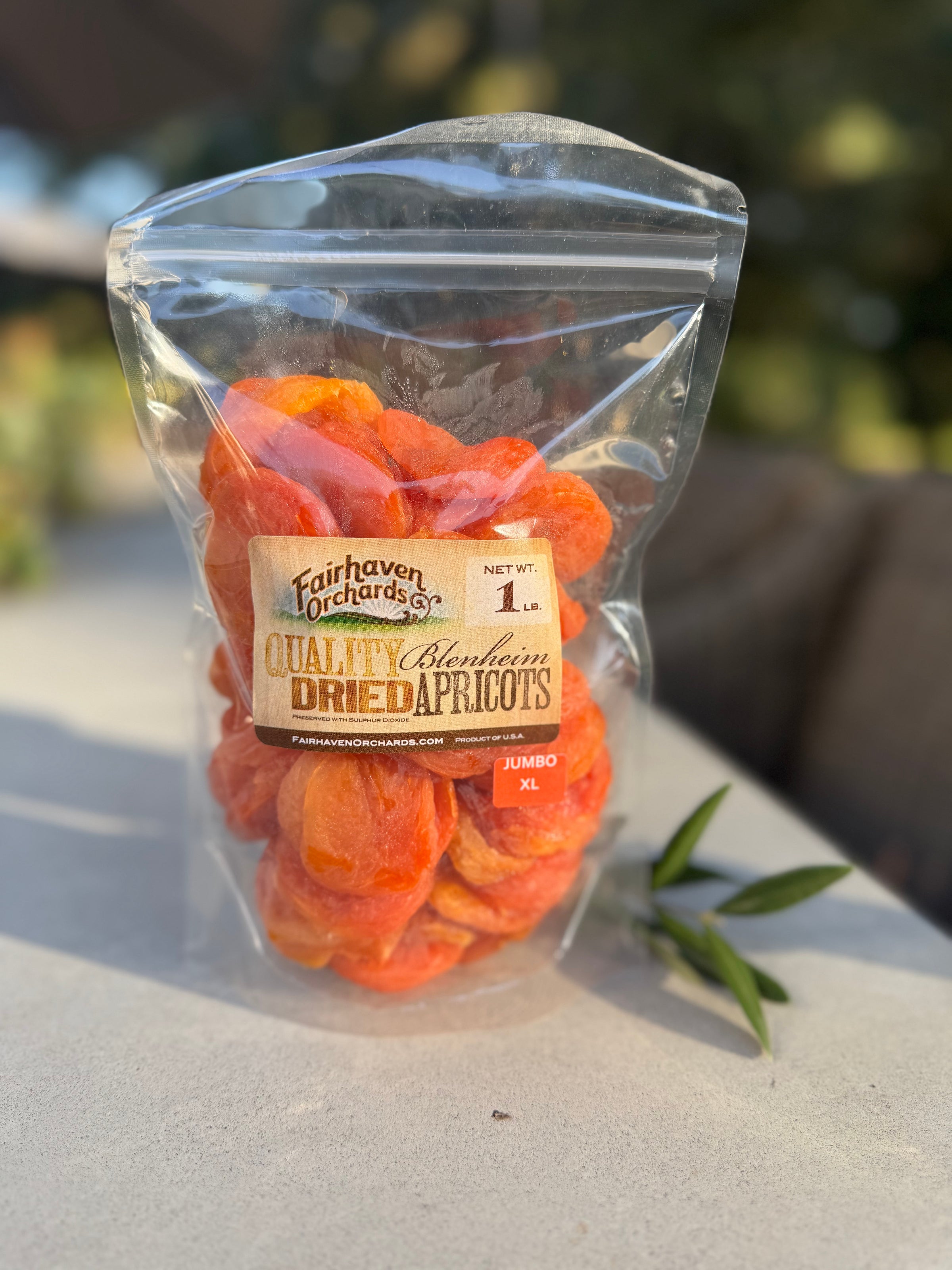 1 Pound Bag JUMBO XL Slip Pit Dried Apricots | Fairhaven Orchards