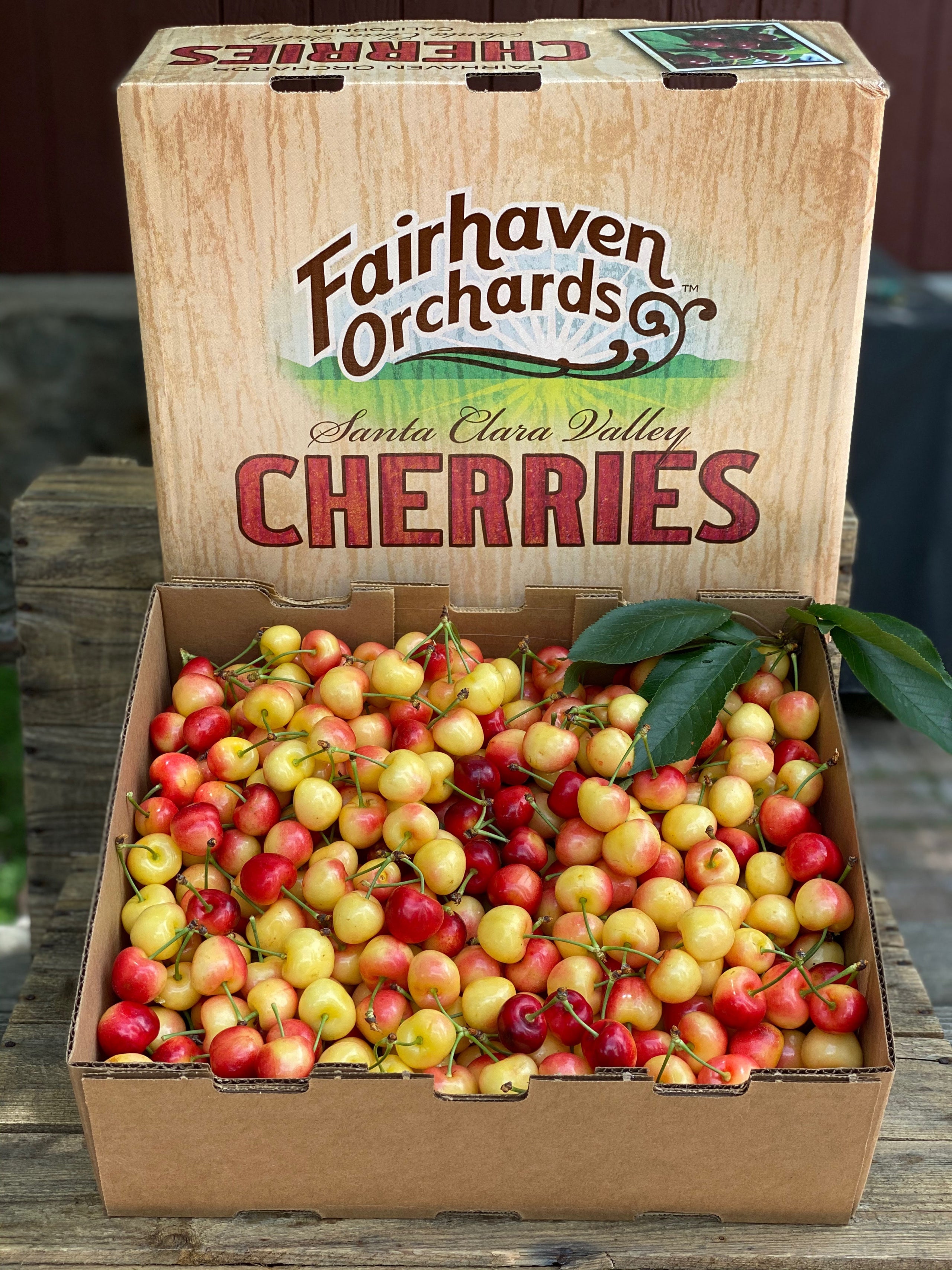 18 Pound Lug Fresh Cherries | Fairhaven Orchards