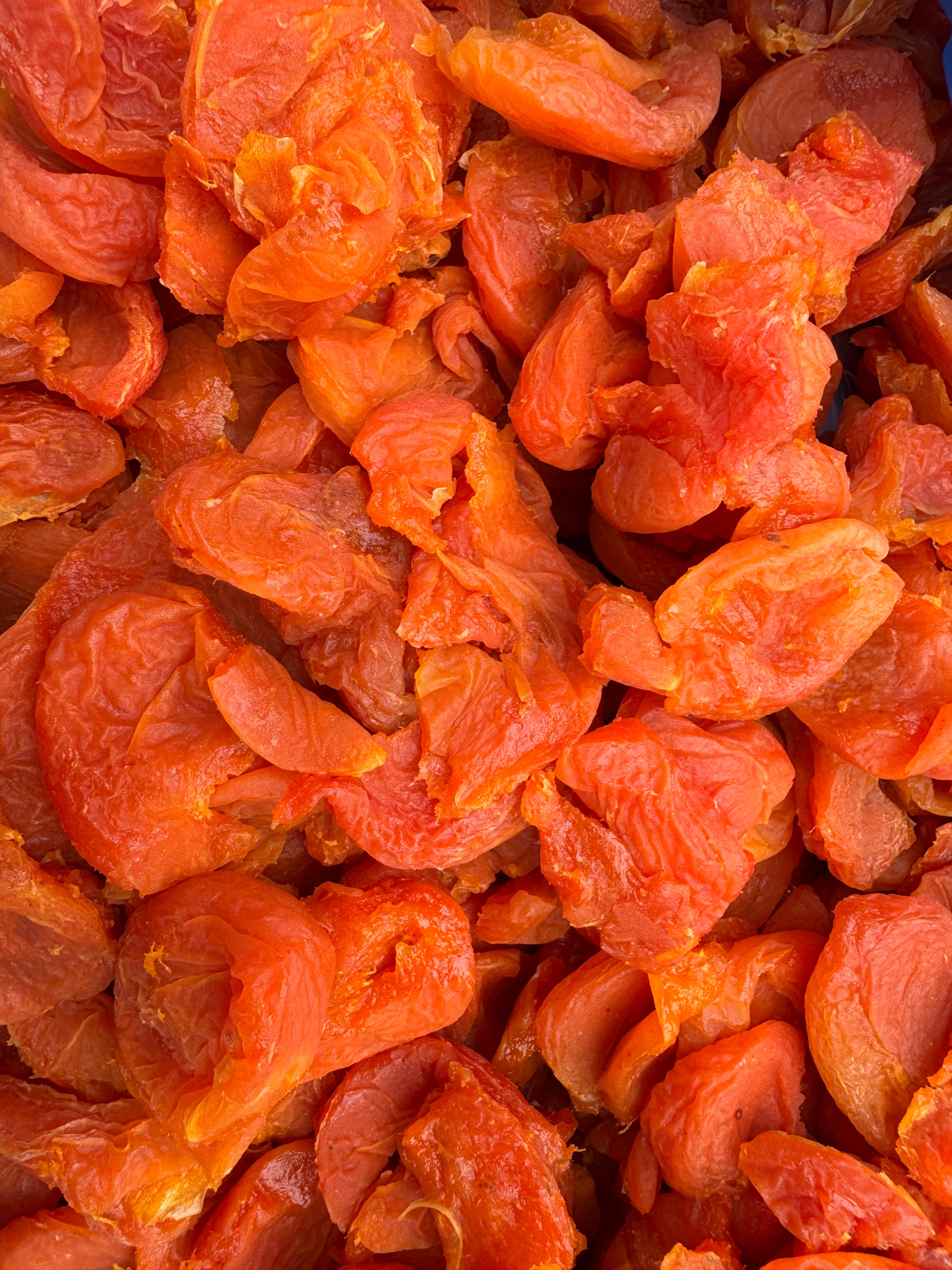 2 Pound Bag SLAB Slip Pit Dried Apricots | Fairhaven Orchards